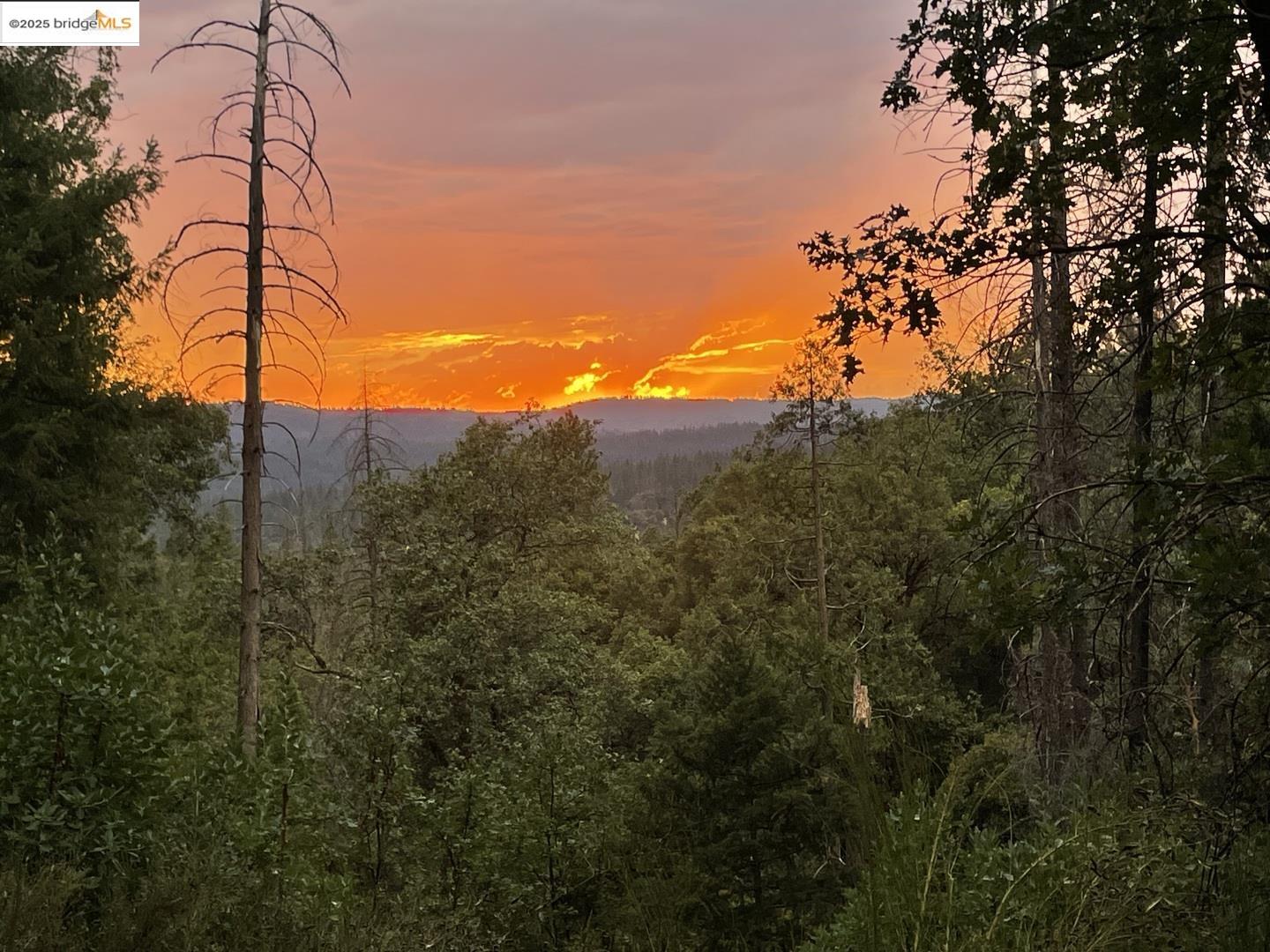 15003 Alleghany Road North San Juan, CA 95960 - Photo 22 of 27