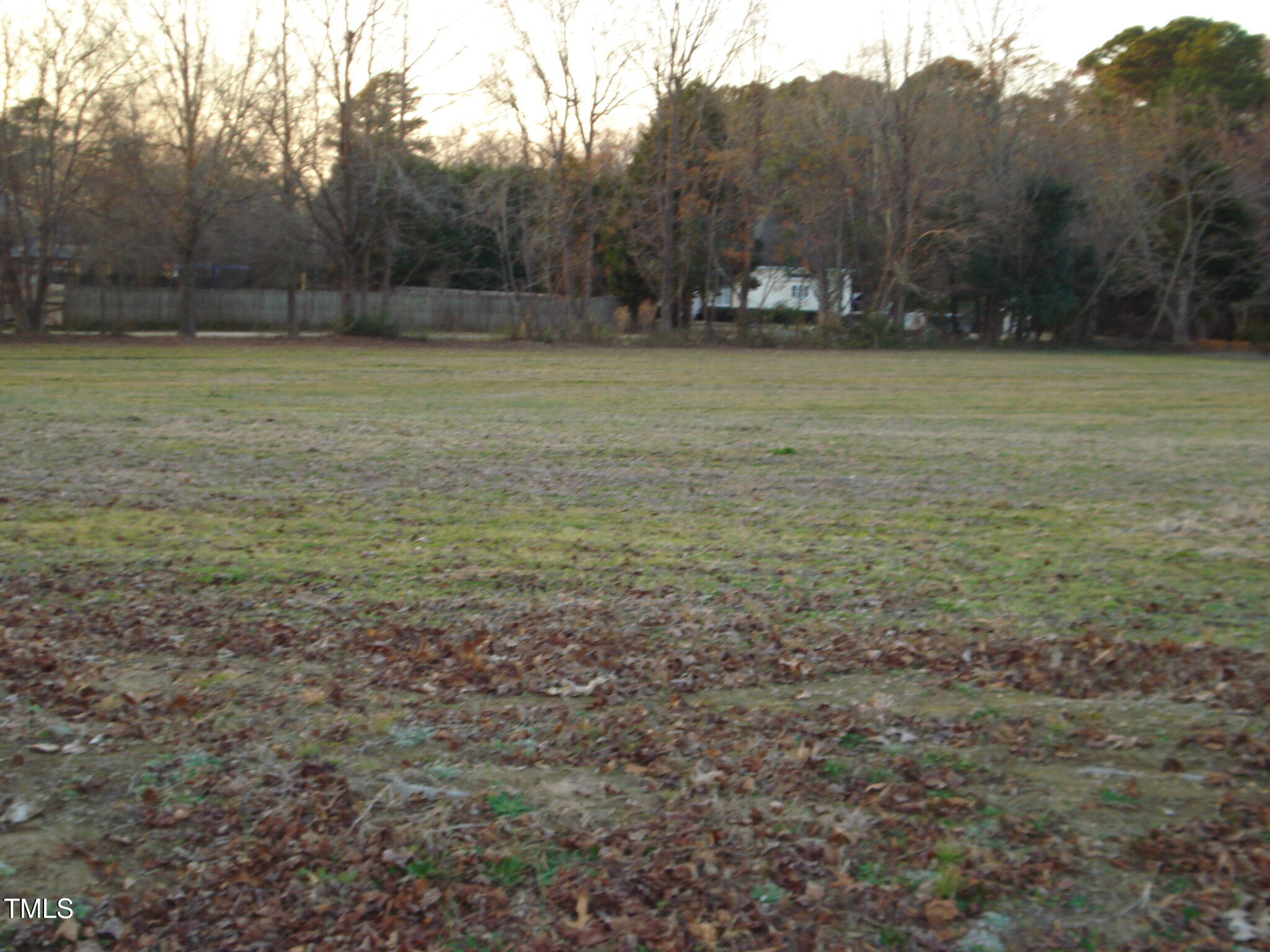 0 Raiford Road Erwin, NC 28339 - Photo 7 of 14 DSC08787