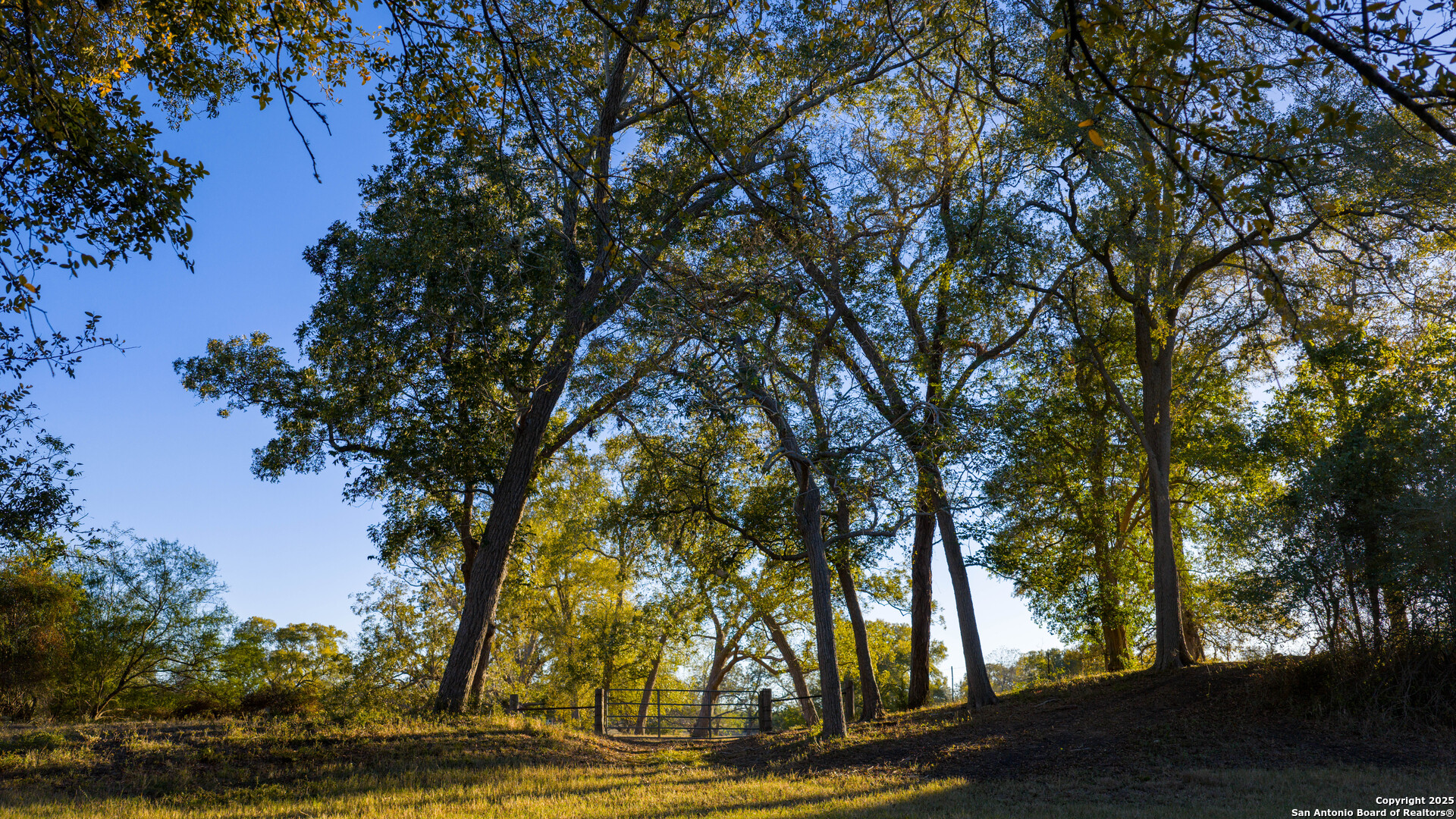 380 Clinton Road Cuero, TX 77954 - Photo 11 of 49
