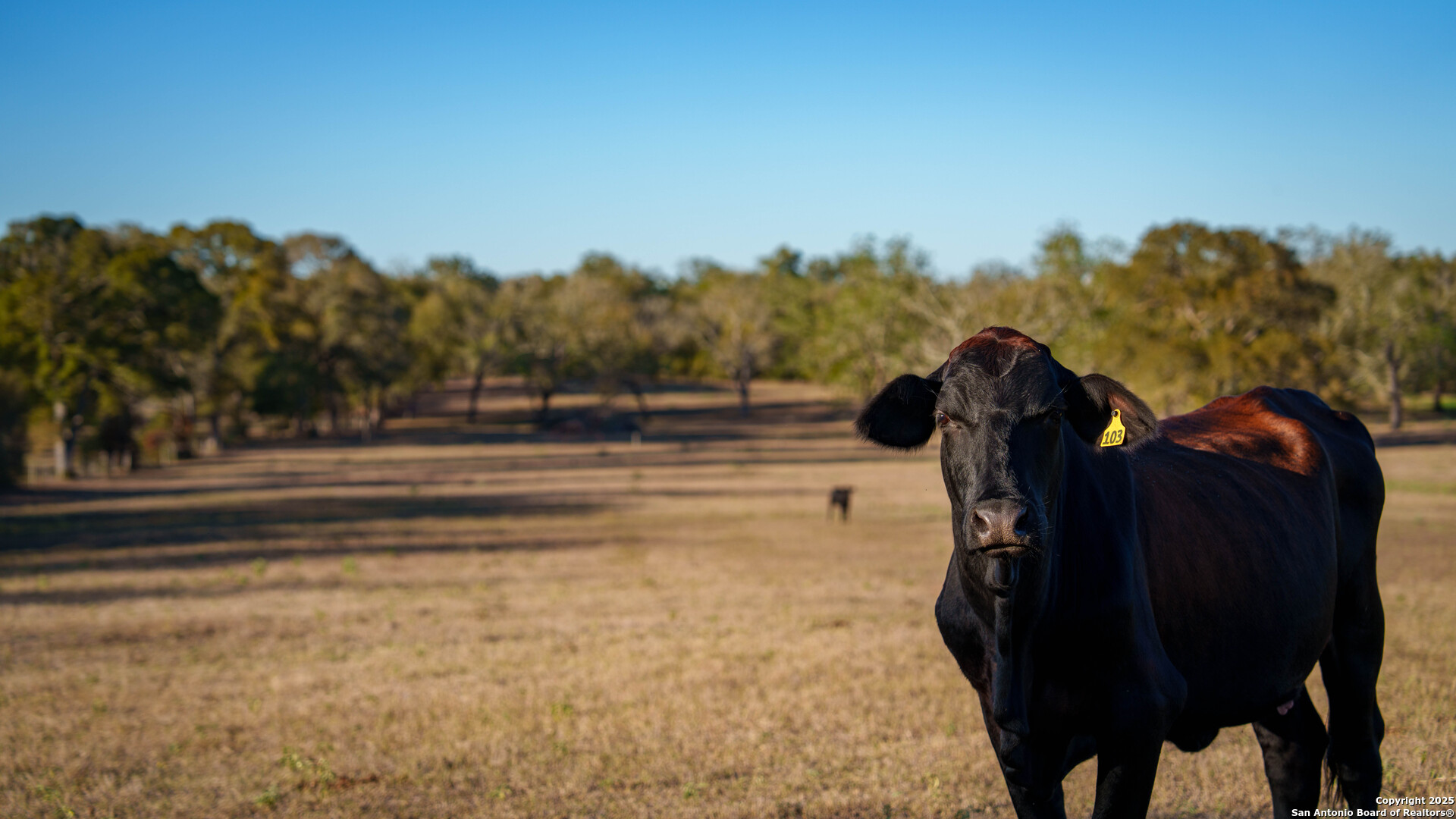 380 Clinton Road Cuero, TX 77954 - Photo 23 of 49