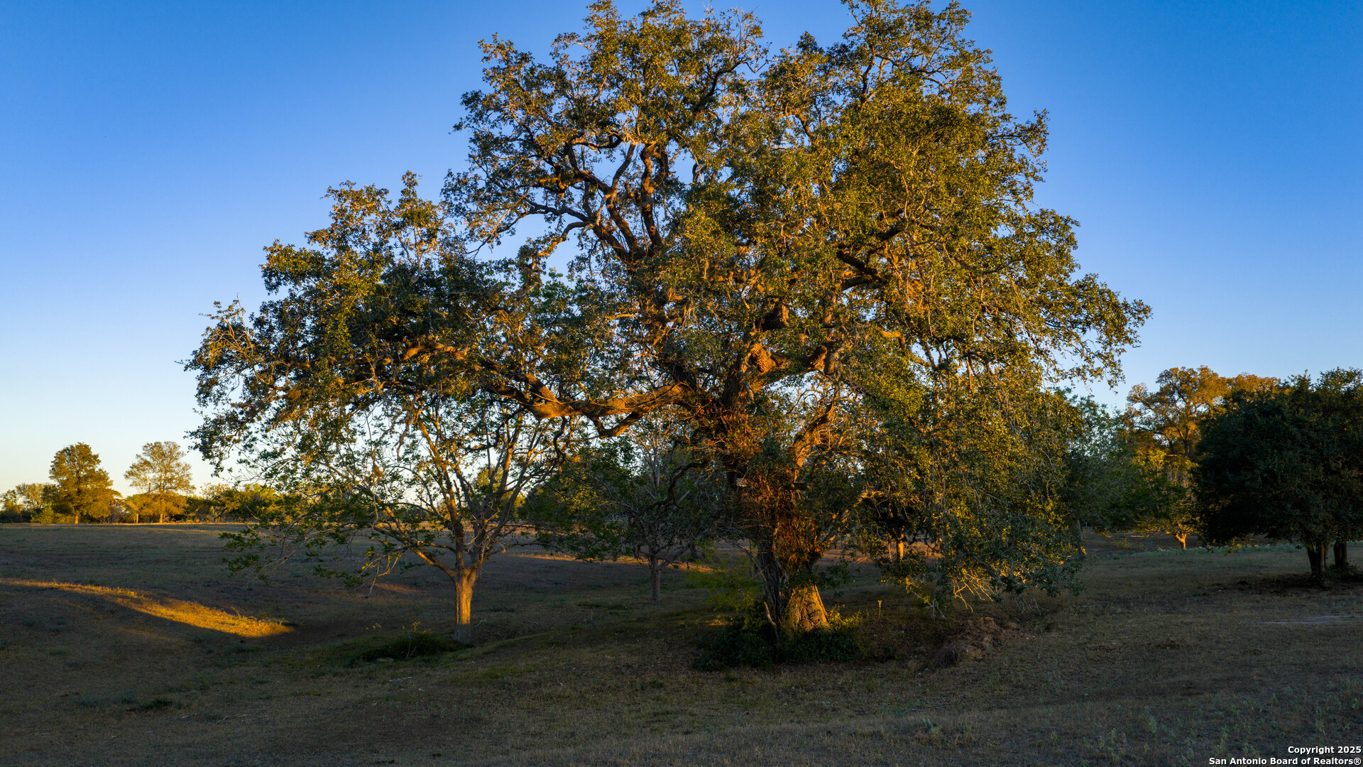 380 Clinton Road Cuero, TX 77954 - Photo 28 of 49