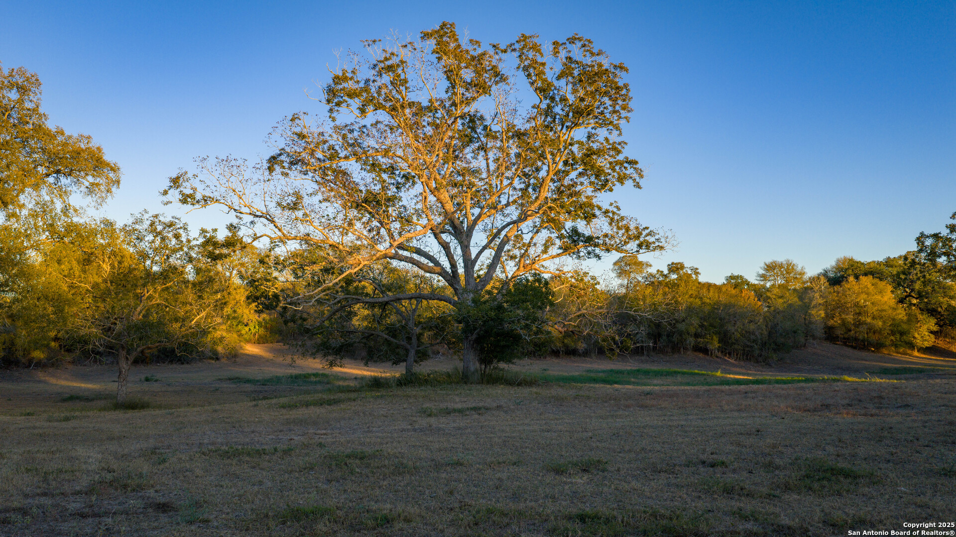 380 Clinton Road Cuero, TX 77954 - Photo 36 of 49