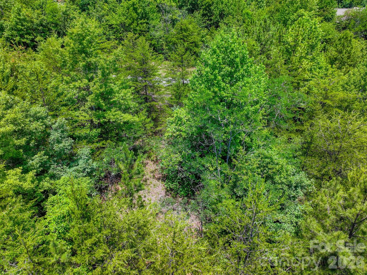 121 Jobes Trail, Unit 35 Mill Spring, NC 28756 - Photo 13 of 20