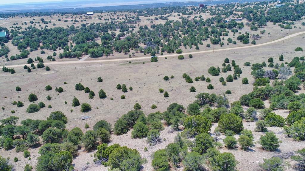 Unit #4 Unit Road Walsenburg, CO 81089 - Photo 31 of 36