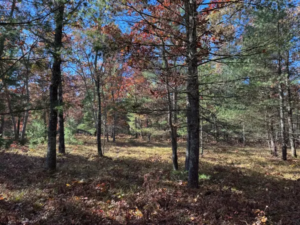 $26,200 | 3 County Line Road, Manistee, MI 49660