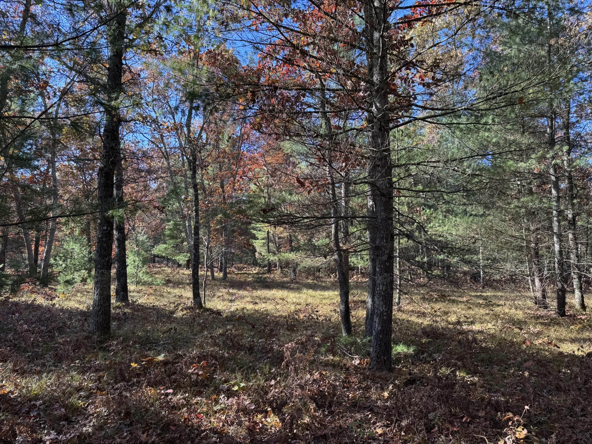 3 County Line Road Manistee, MI 49660 - Photo 1 of 4 IMG_1373