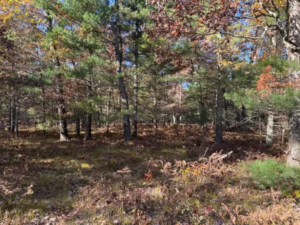 $26,200 | 3 County Line Road, Manistee, MI 49660