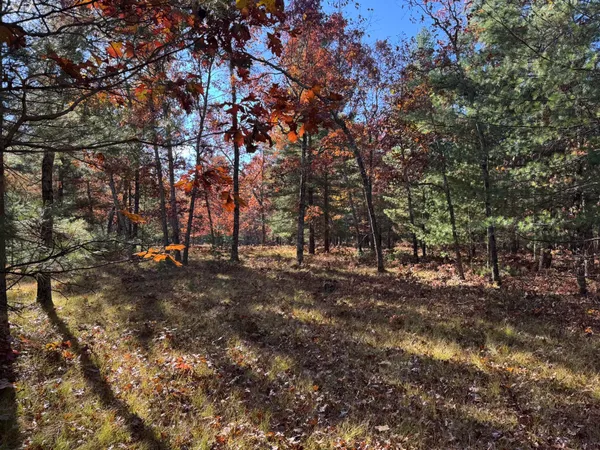 $26,200 | 3 County Line Road, Manistee, MI 49660