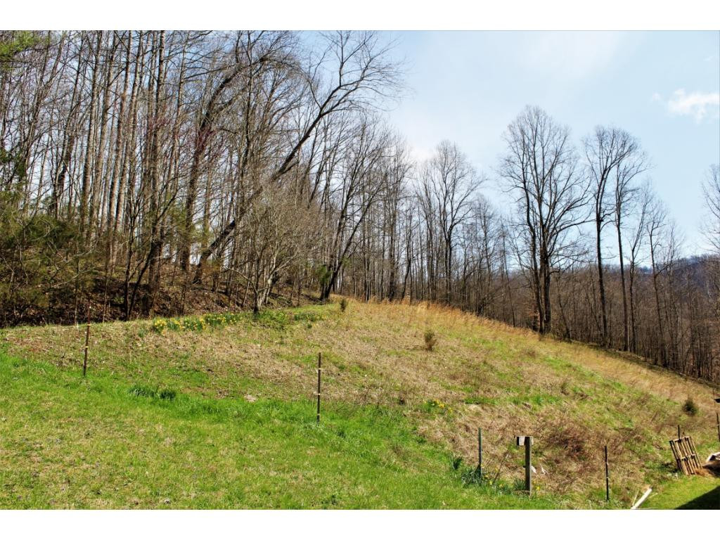 392 Covenant Church Road Jonesville, VA 24263 - Photo 8 of 34 Photo 8
