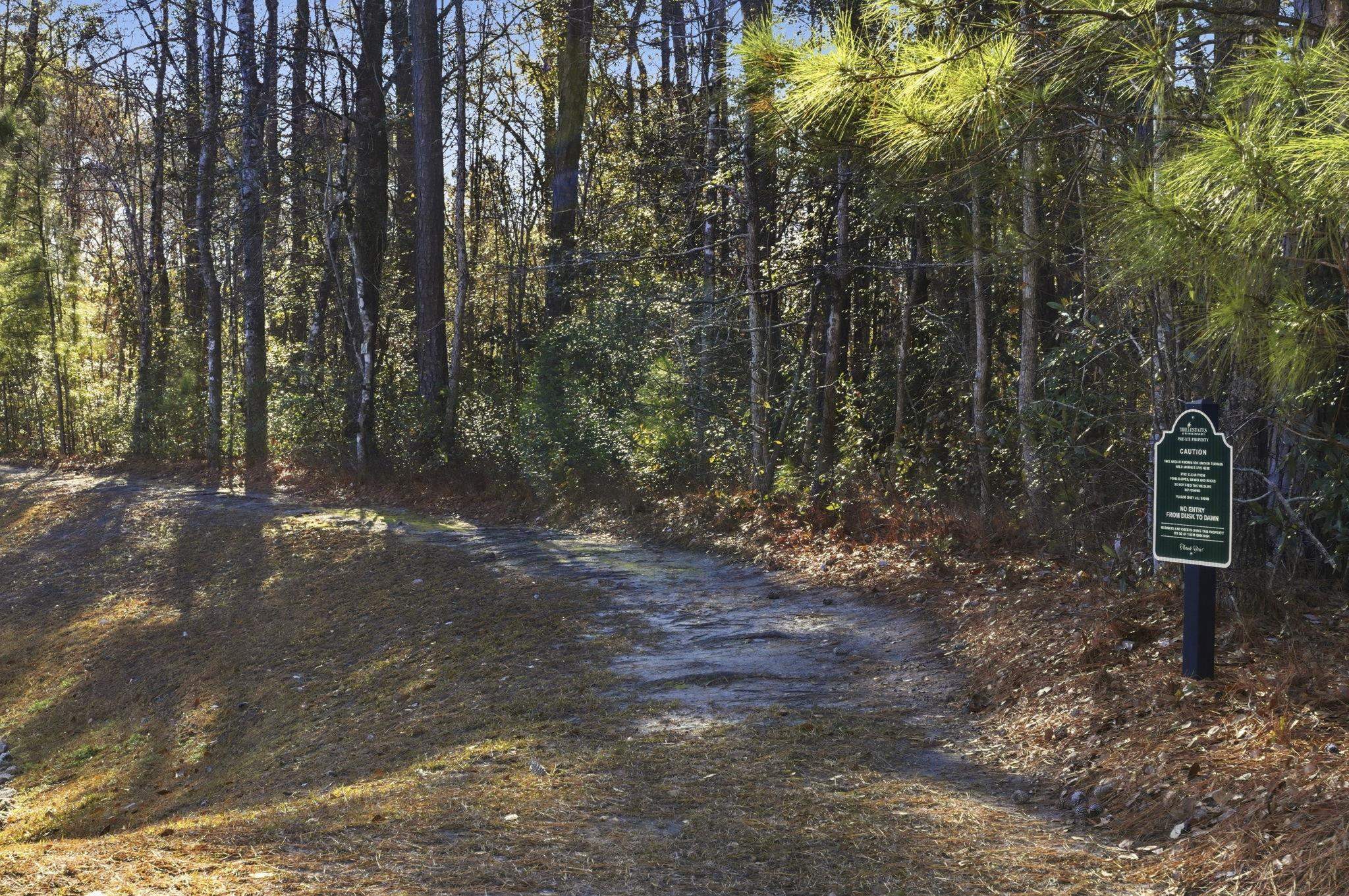 1704 Edgewood Drive Myrtle Beach, SC 29577 - Photo 30 of 40 View of dirt / gravel road