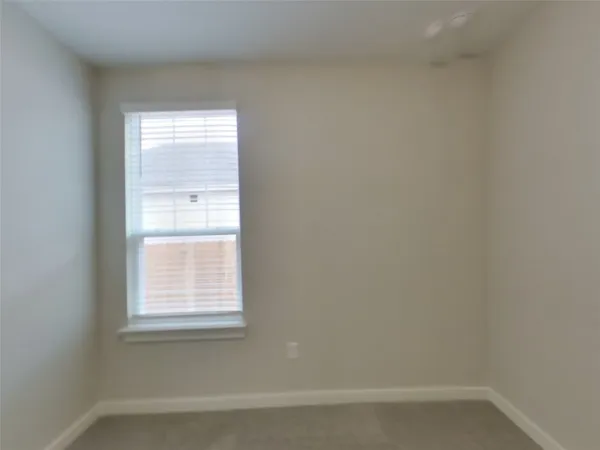 a bathroom with a shower and a toilet