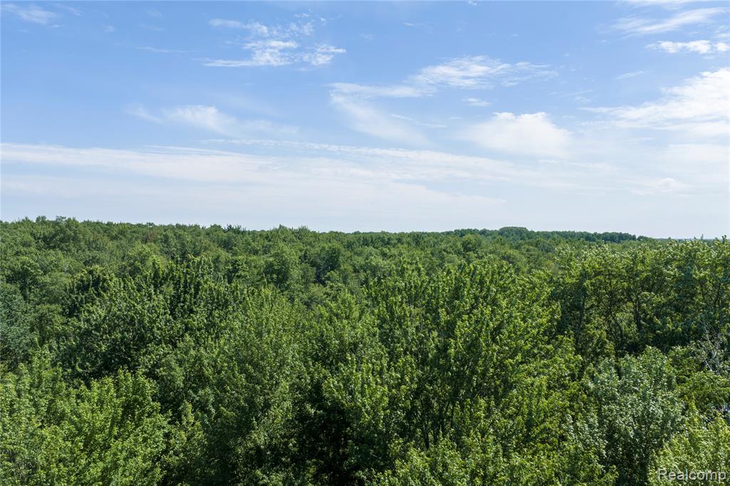 0 Applegate Road Sandusky, MI 48471 - Photo 15 of 15