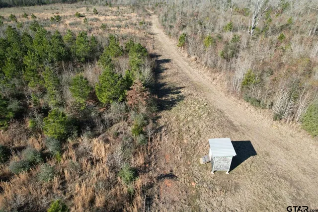 a view of a dry yard with trees