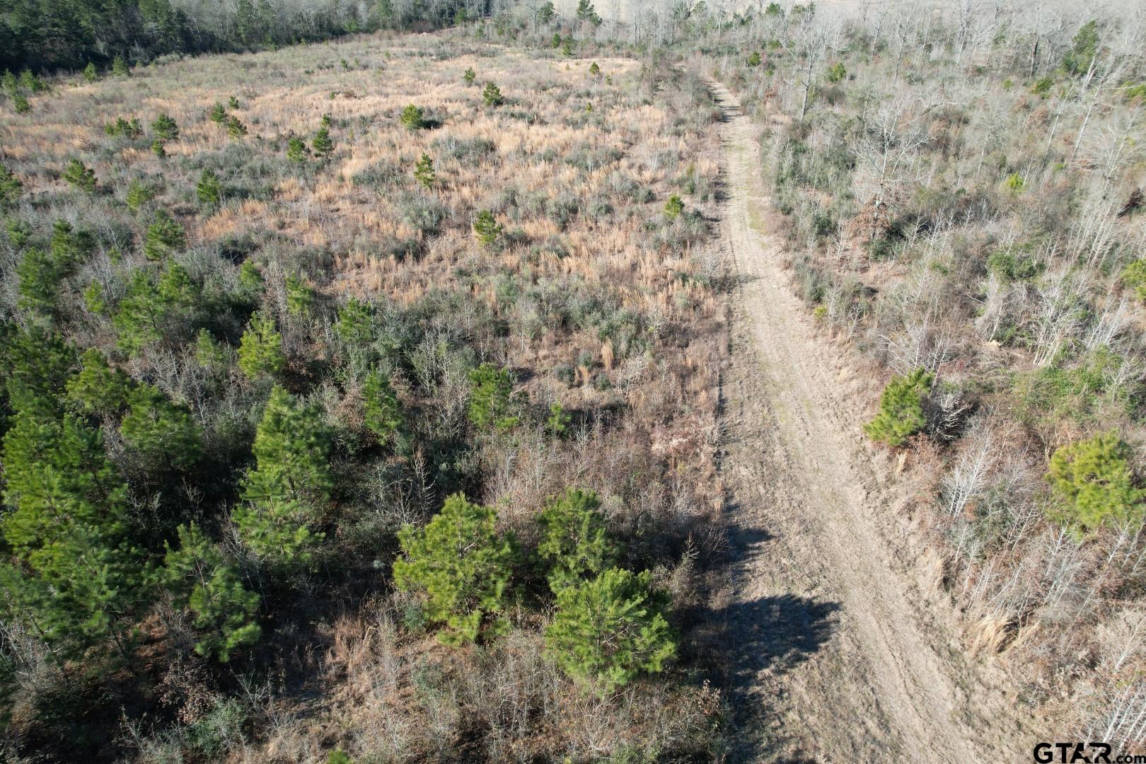 Tbd-b County Road 4021 Timpson, TX 75975 - Photo 13 of 17