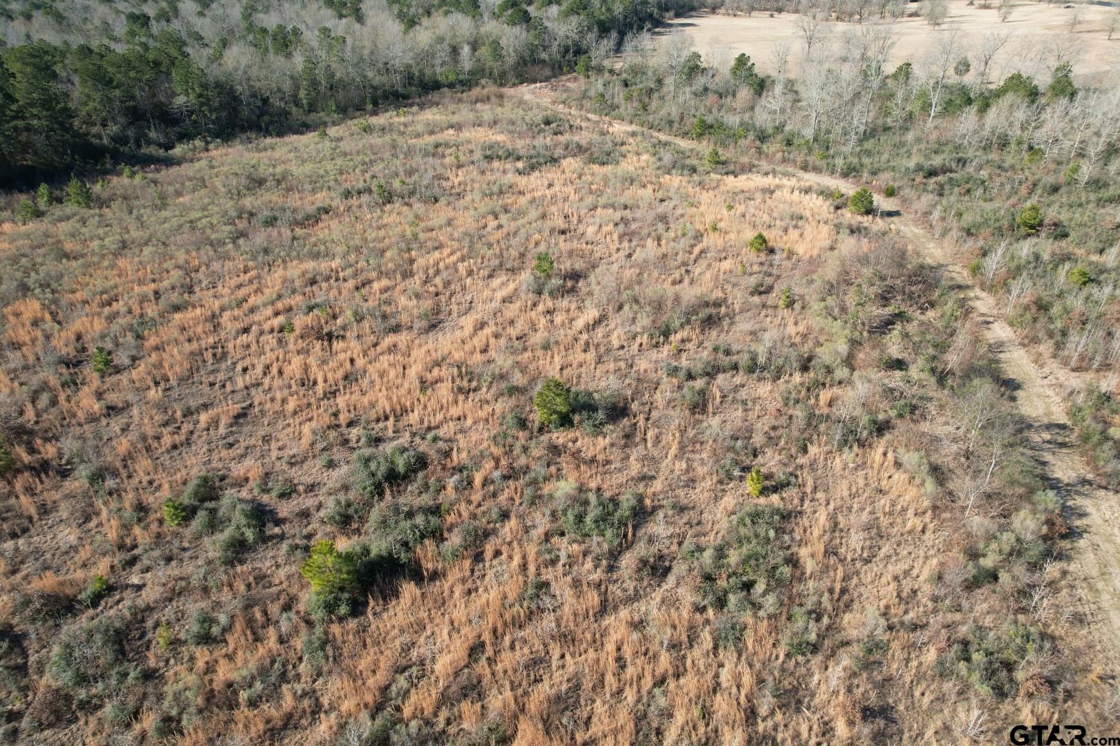 Tbd-b County Road 4021 Timpson, TX 75975 - Photo 14 of 17 a view of a dry yard