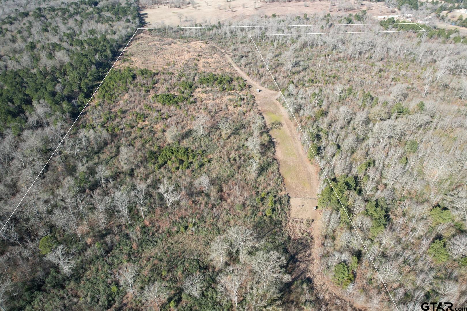 Tbd-b County Road 4021 Timpson, TX 75975 - Photo 2 of 17 a view of a yard with a dry yard