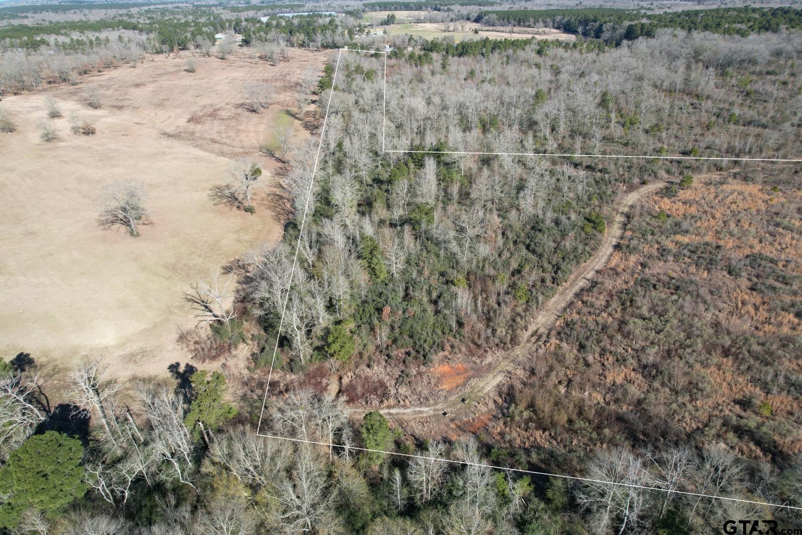 Tbd-b County Road 4021 Timpson, TX 75975 - Photo 4 of 17 a view of a dry yard with trees