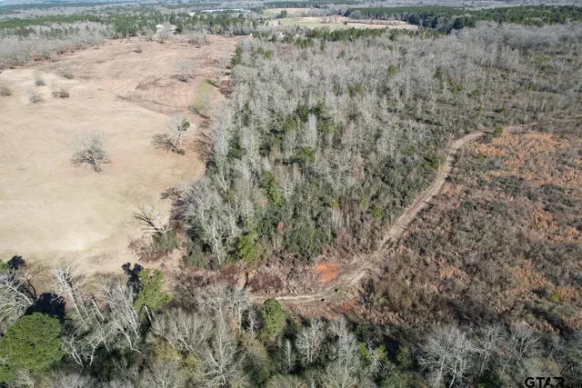a view of a yard with a dry yard
