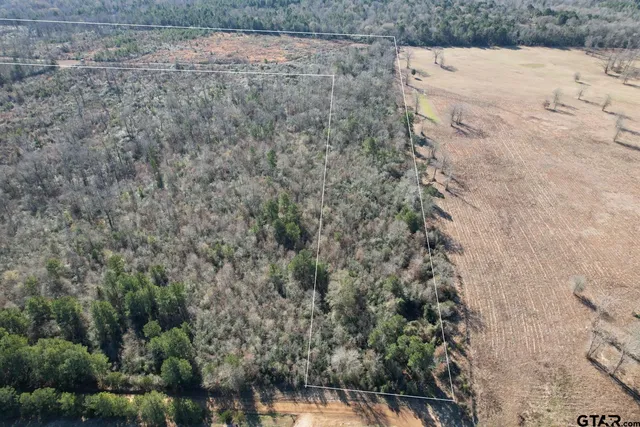 a view of a dry yard with trees