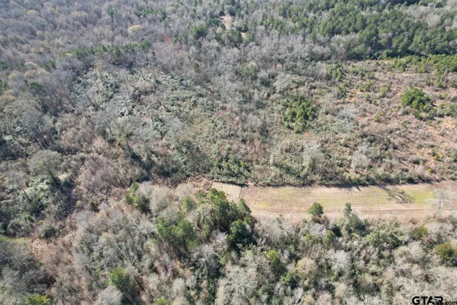 a view of a dirt pathway and a covered with fog