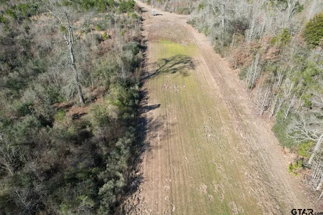 a view of a dry yard