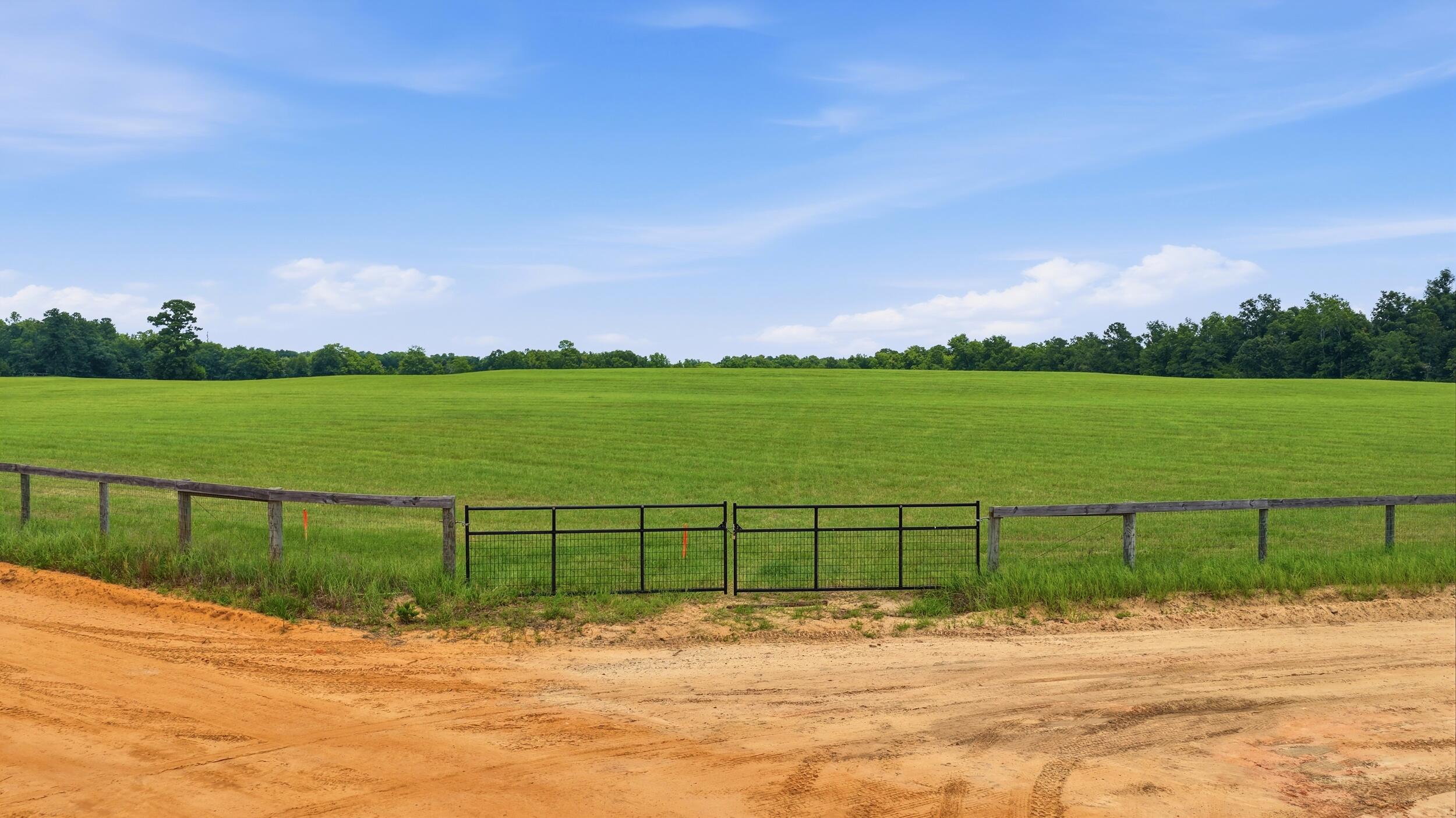 0 Bodie Road Wagener, SC 29164 - Photo 6 of 21