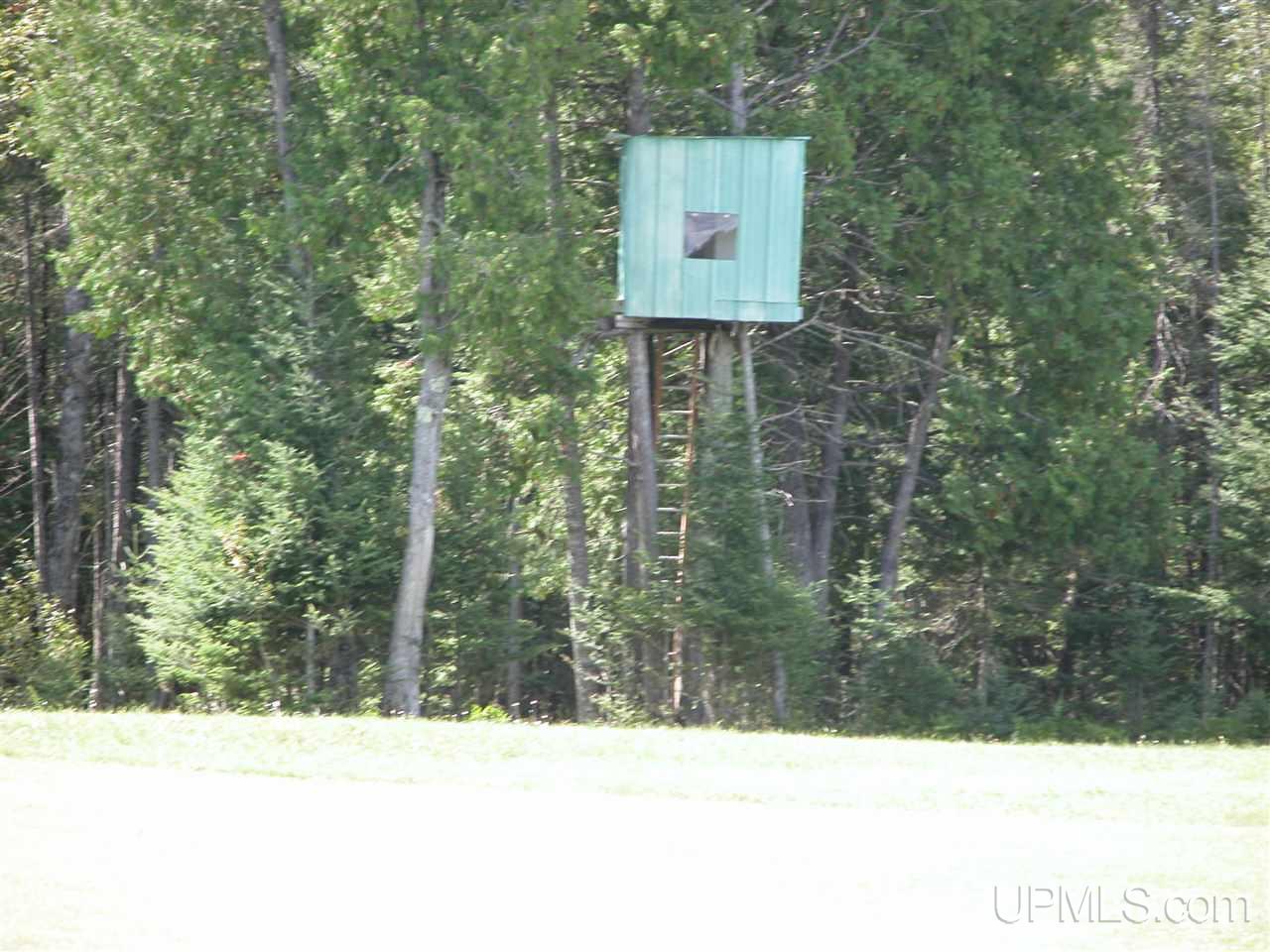 3701 Co Road Cornell, MI 49818 - Photo 24 of 28