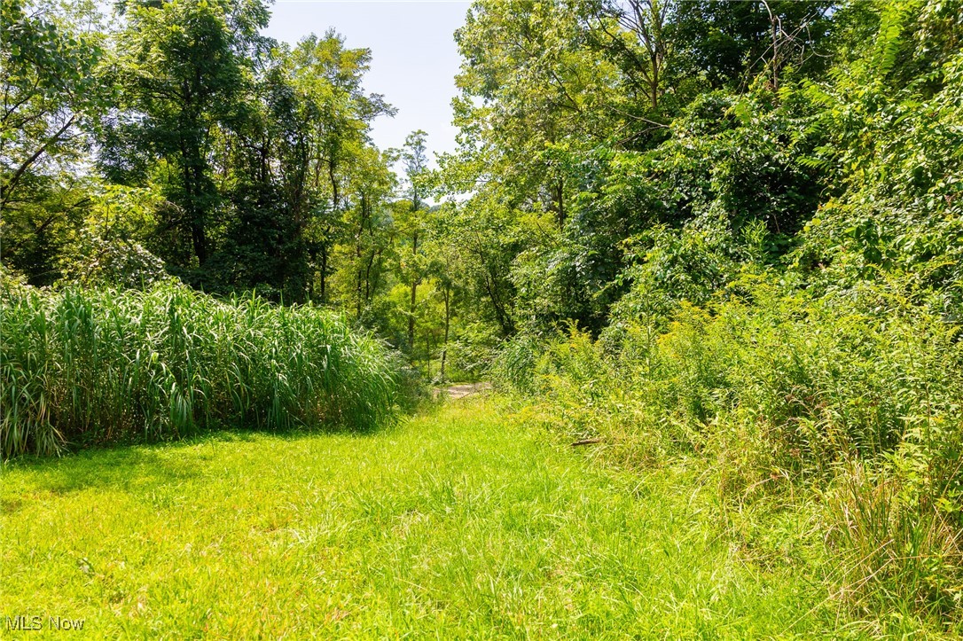 Prider Road Kimbolton, OH 43749 - Photo 8 of 48 View of nature