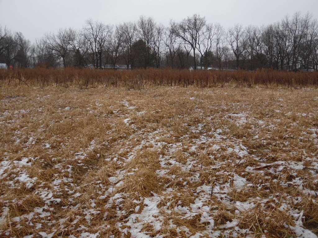 Lot 5 Sherman Road Edwardsburg, MI 49112 - Photo 6 of 11 SAM_3899