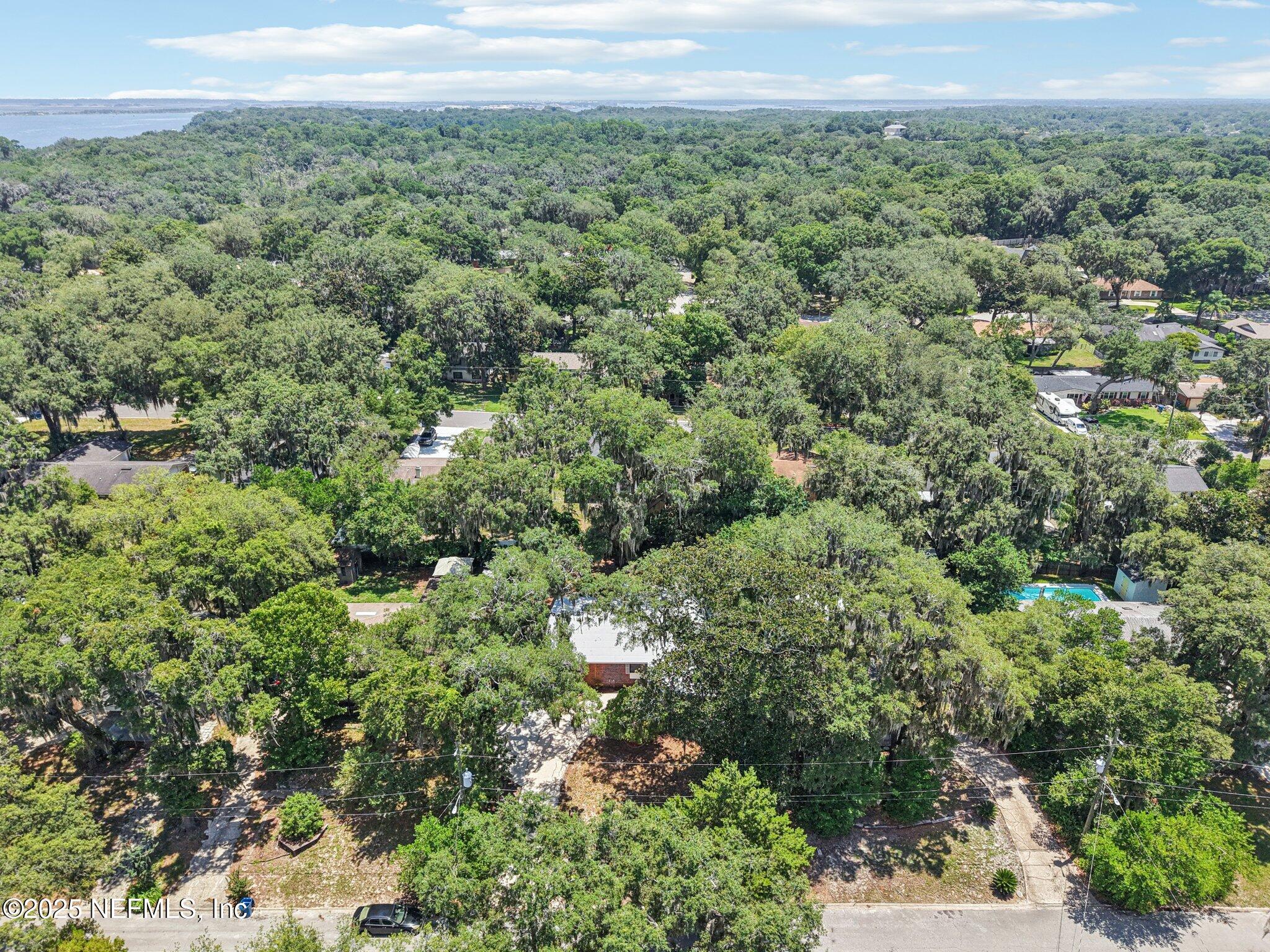 4619 Morris Road Jacksonville, FL 32225 - Photo 45 of 56 a view of a green field with lots of bushes