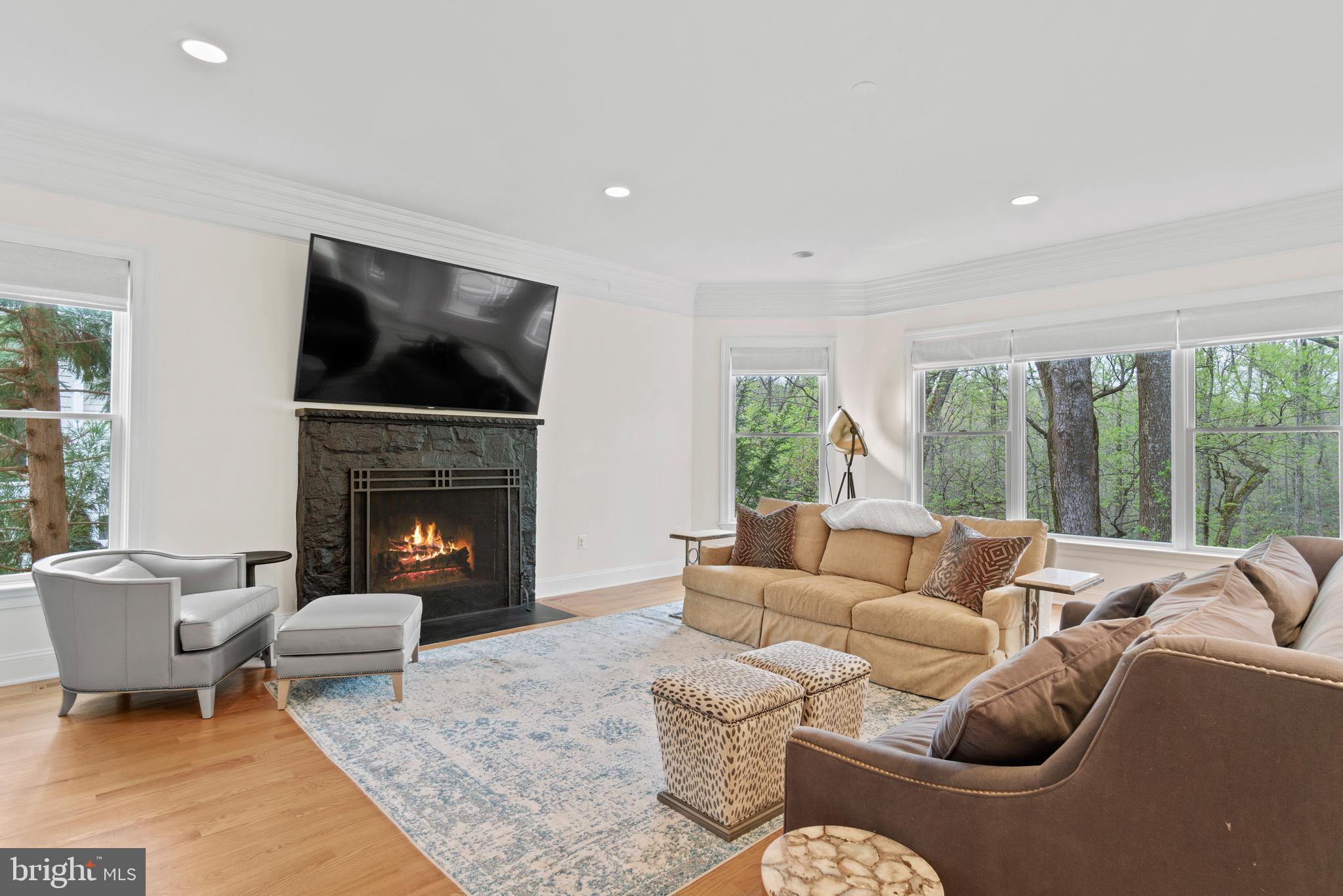 1458 Waggaman Circle McLean, VA 22101 - Photo 14 of 69 Main Level - Family Room