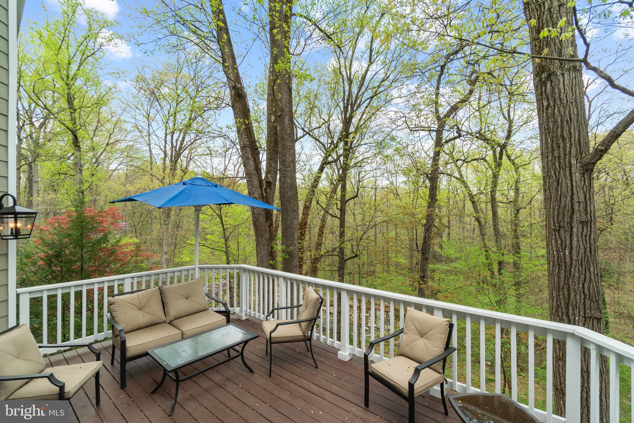 1458 Waggaman Circle McLean, VA 22101 - Photo 44 of 69 Main Level - Outdoor Deck