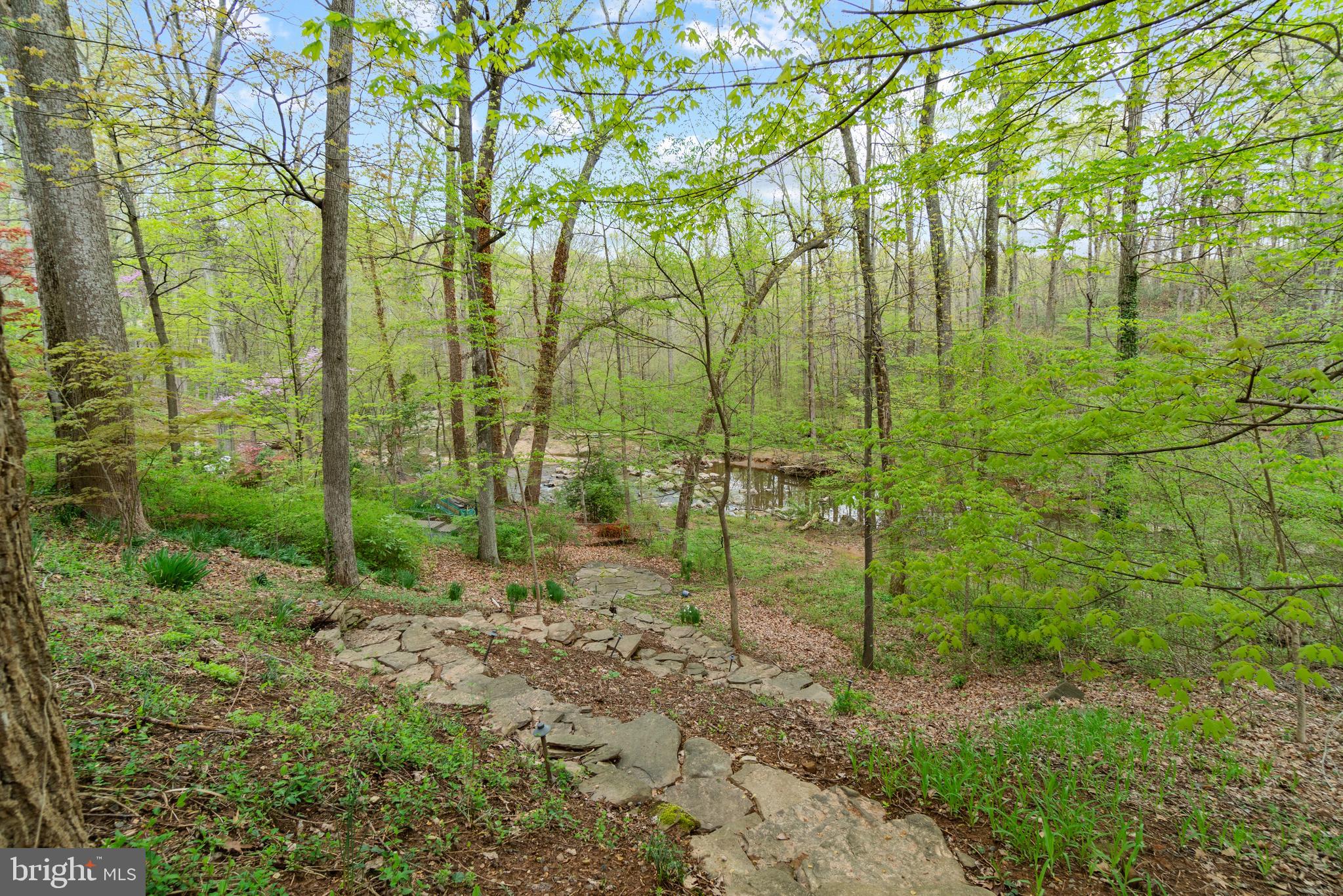 1458 Waggaman Circle McLean, VA 22101 - Photo 51 of 69 Property Backs to Pimmit Run Stream