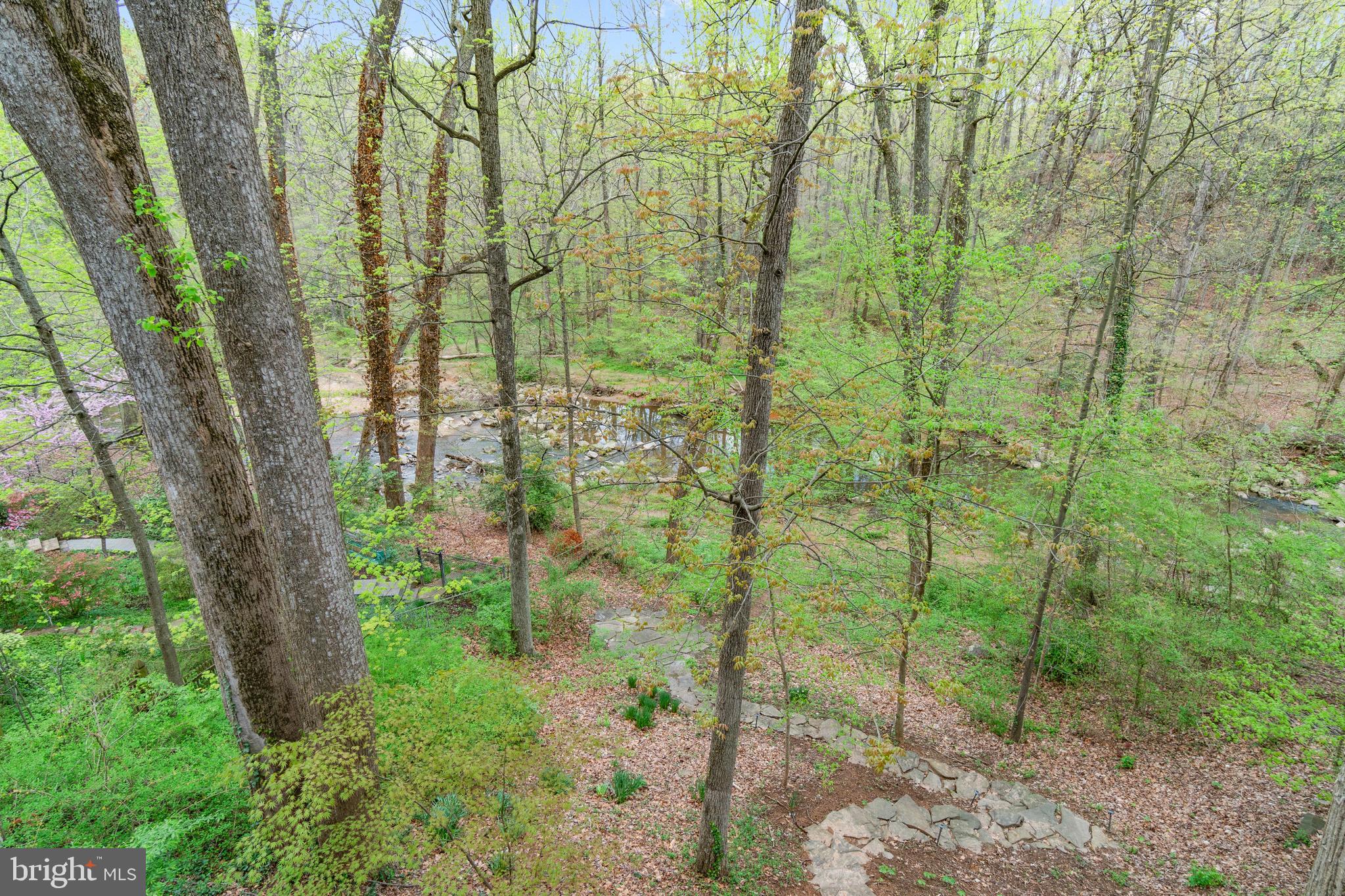 1458 Waggaman Circle McLean, VA 22101 - Photo 52 of 69 Property Backs to Pimmit Run Stream