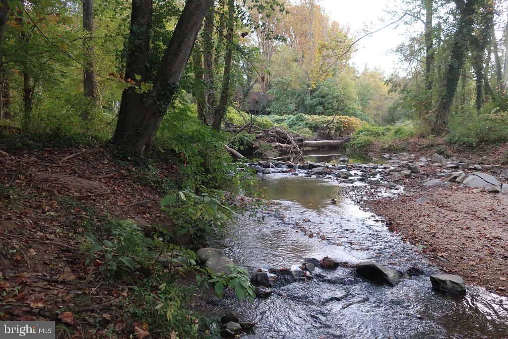 1458 Waggaman Circle McLean, VA 22101 - Photo 66 of 69 Pimmit Run Stream