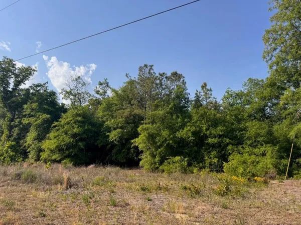 $60,000 | 2716 West W Highway, Gresham, SC 29546