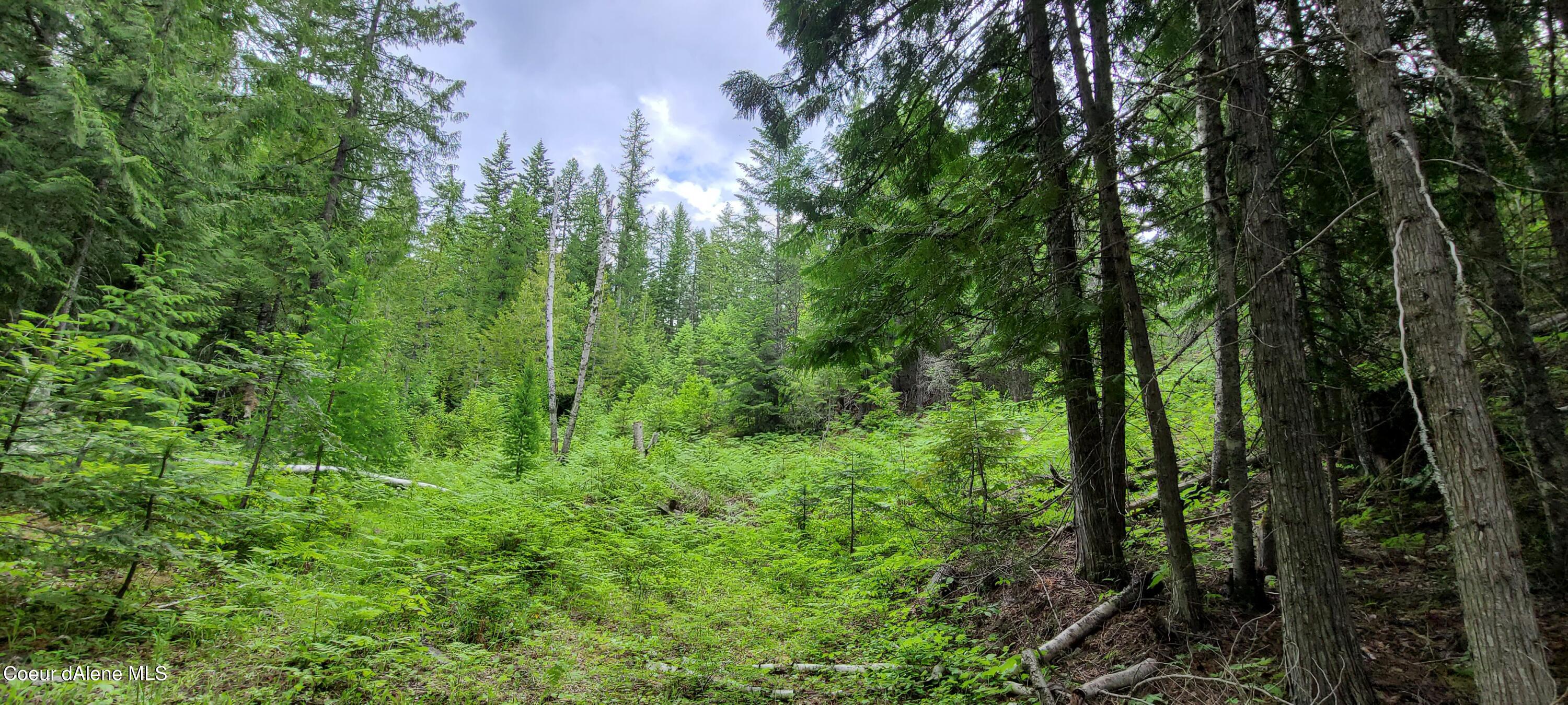 Nna West Gold Creek Ridge Road Sandpoint, ID 83864 - Photo 11 of 14 20210608_150126