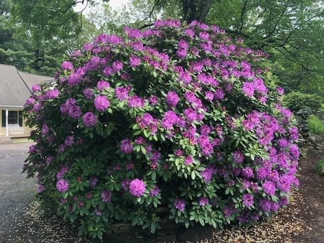 $1,049,900 | 495 Grafton Street, Shrewsbury, MA 01545