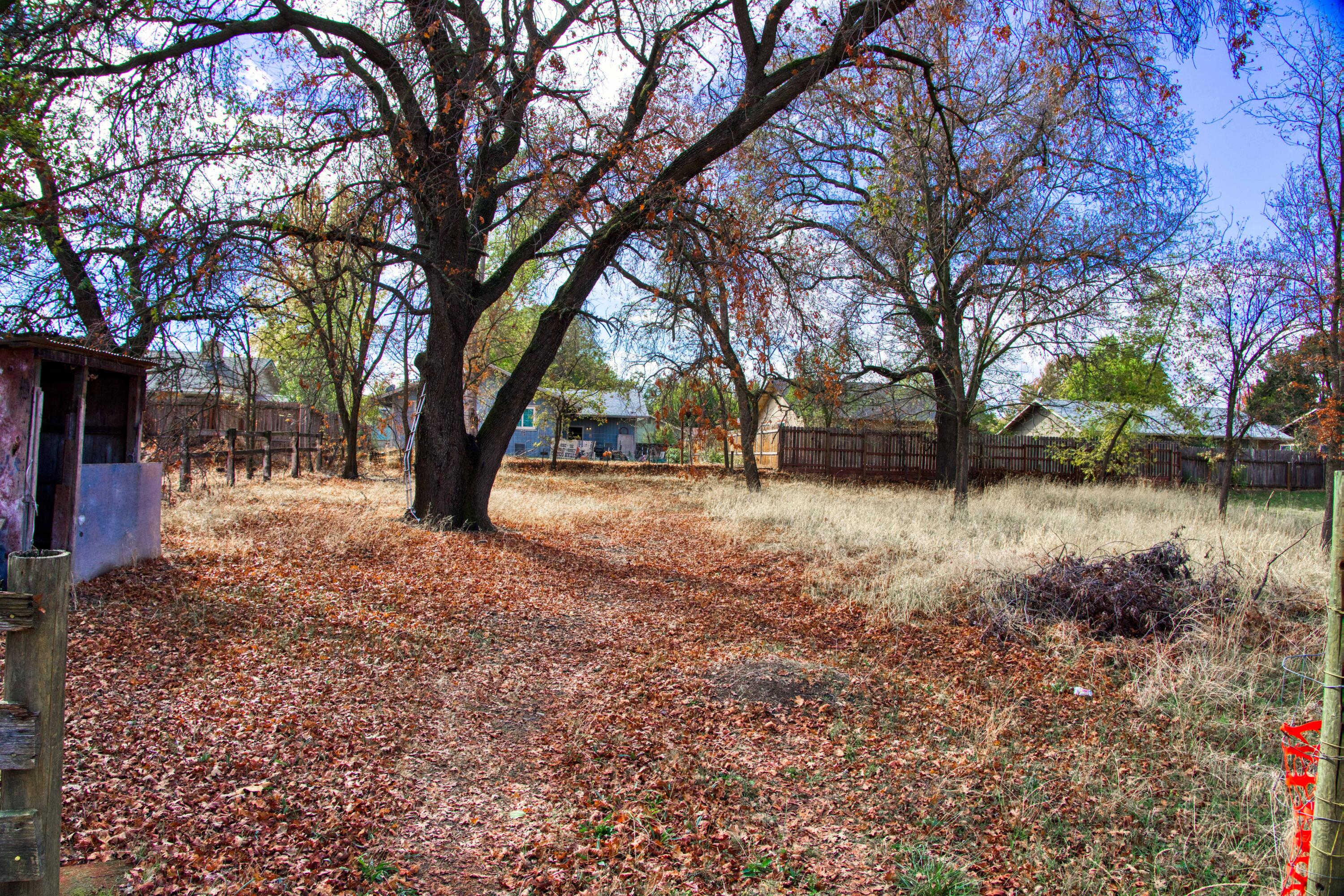 2438 Balls Ferry Road Anderson, CA 96007 - Photo 6 of 17 IMG-02