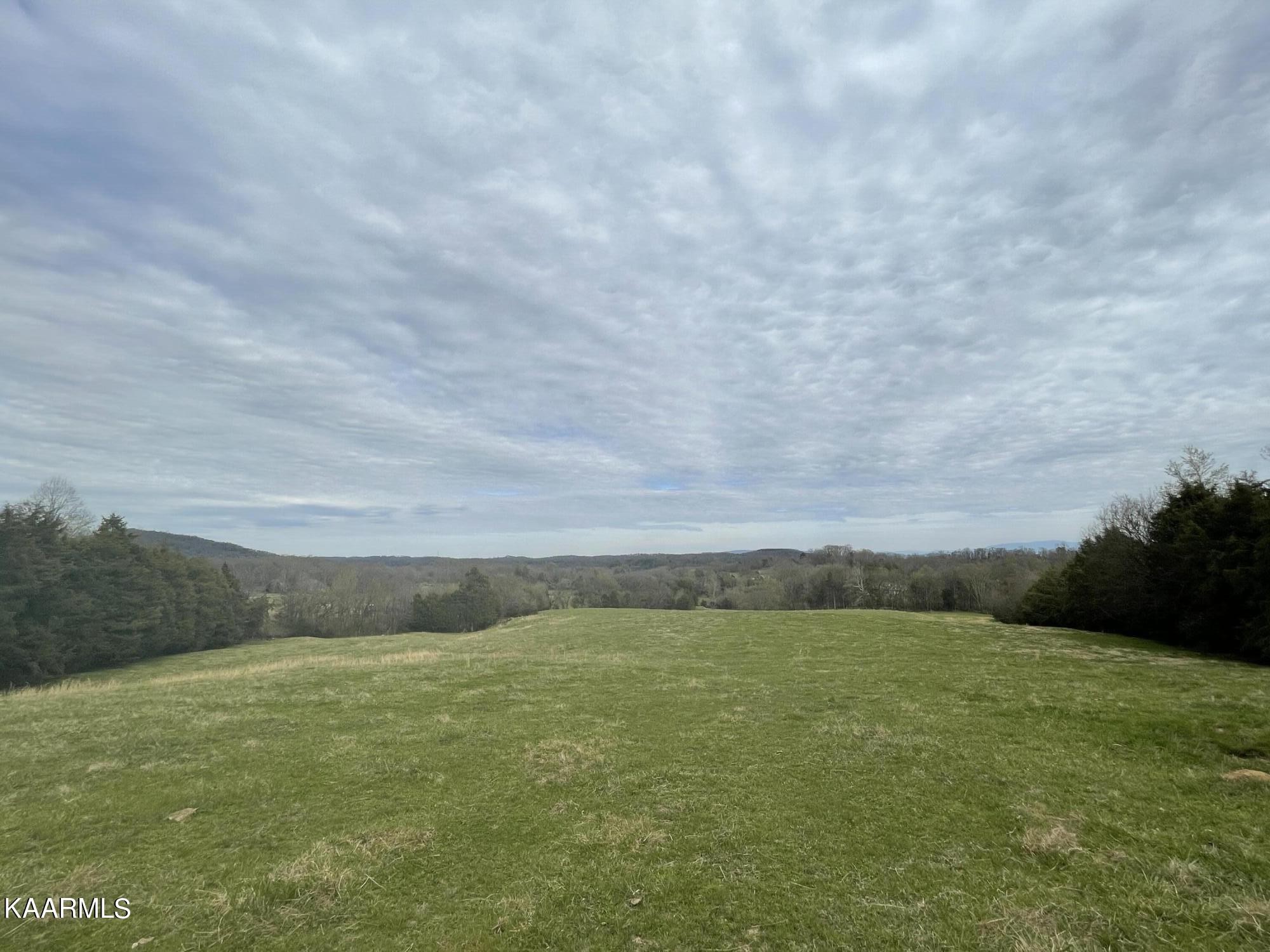 0 Dalton Road New Market, TN 37820 - Photo 10 of 12 Gallery Image 10