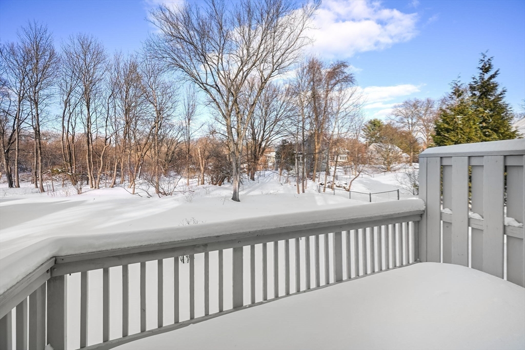 48 Grapevine Avenue Lexington, MA 02421 - Photo 34 of 34 a view of a yard with trees