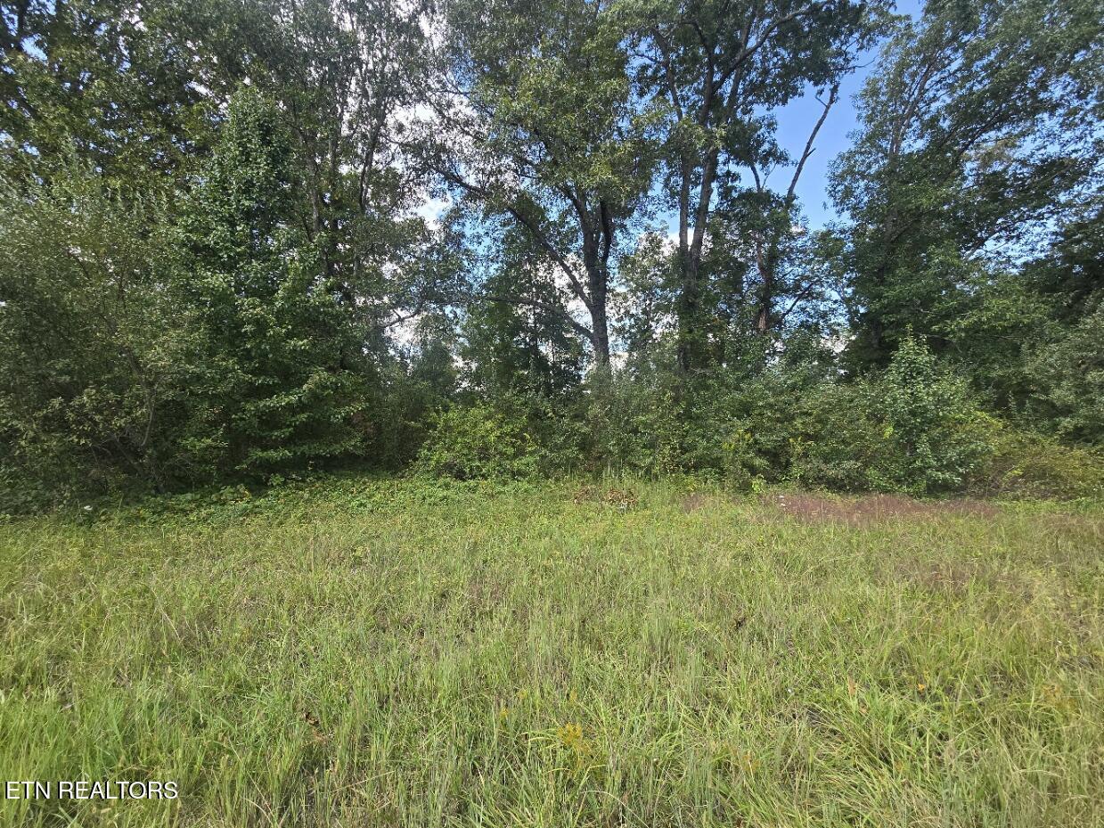 Us-27 Sunbright, TN 37872 - Photo 4 of 11 20250910_143510