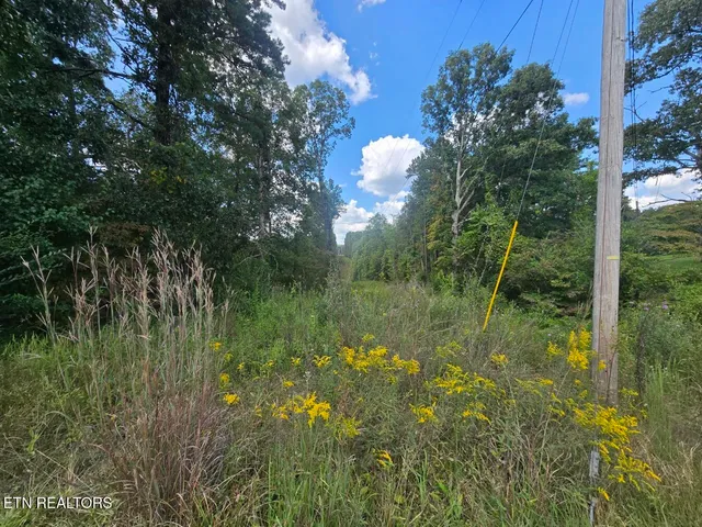 $70,000 | Us-27, Sunbright, TN 37872