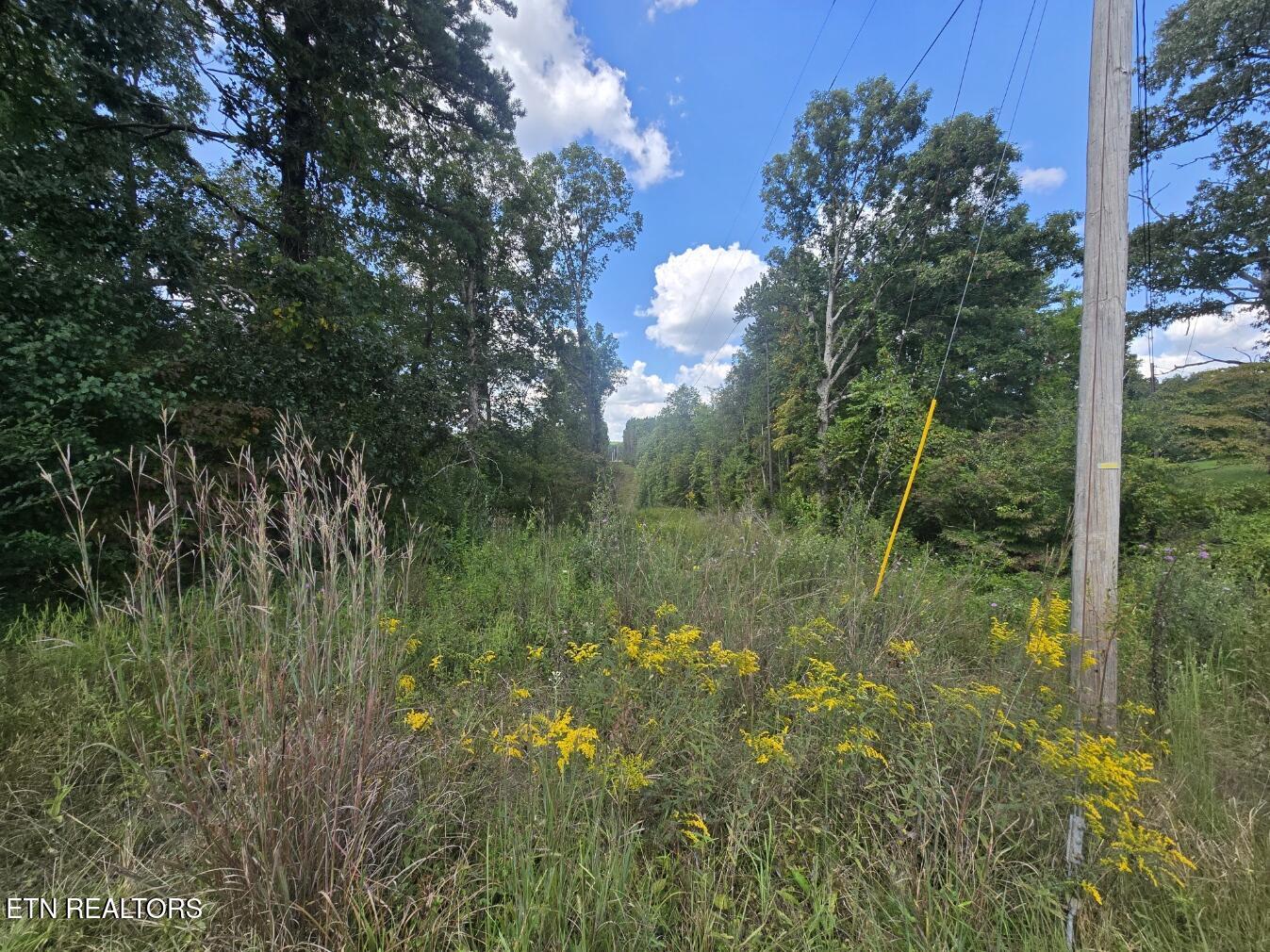 Us-27 Sunbright, TN 37872 - Photo 5 of 11 20250910_143541