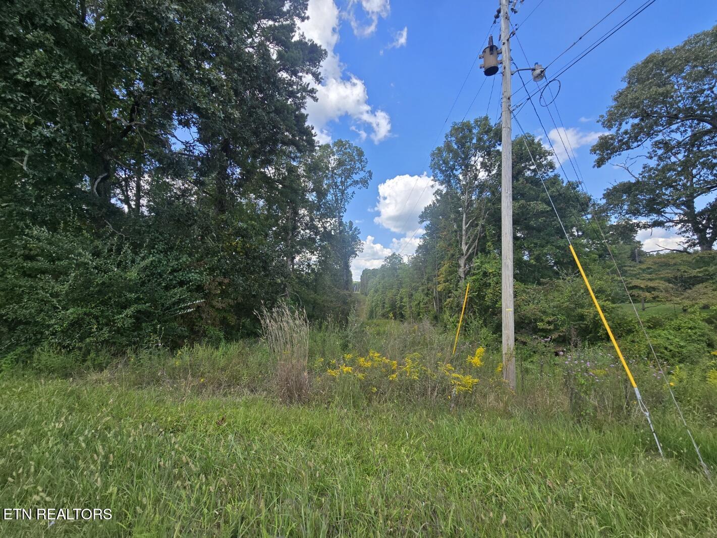 Us-27 Sunbright, TN 37872 - Photo 6 of 11 20250910_143556
