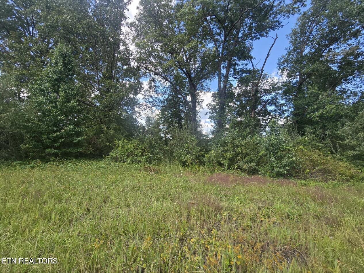 Us-27 Sunbright, TN 37872 - Photo 7 of 11 20250910_143619