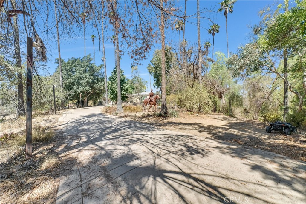 1505 Gratton Street Riverside, CA 92504 - Photo 53 of 66