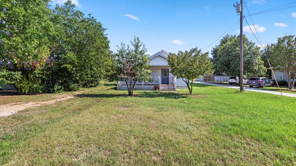 a view of a park with large trees