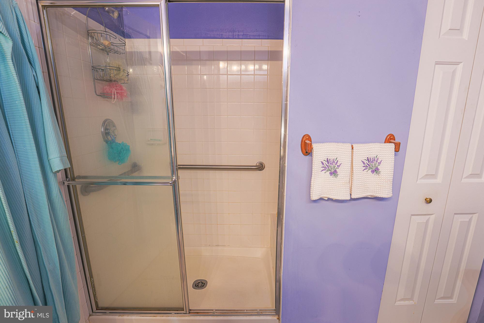 5246 Millfield Road, Unit 5246 Baltimore, MD 21237 - Photo 18 of 27 Primary Bathroom