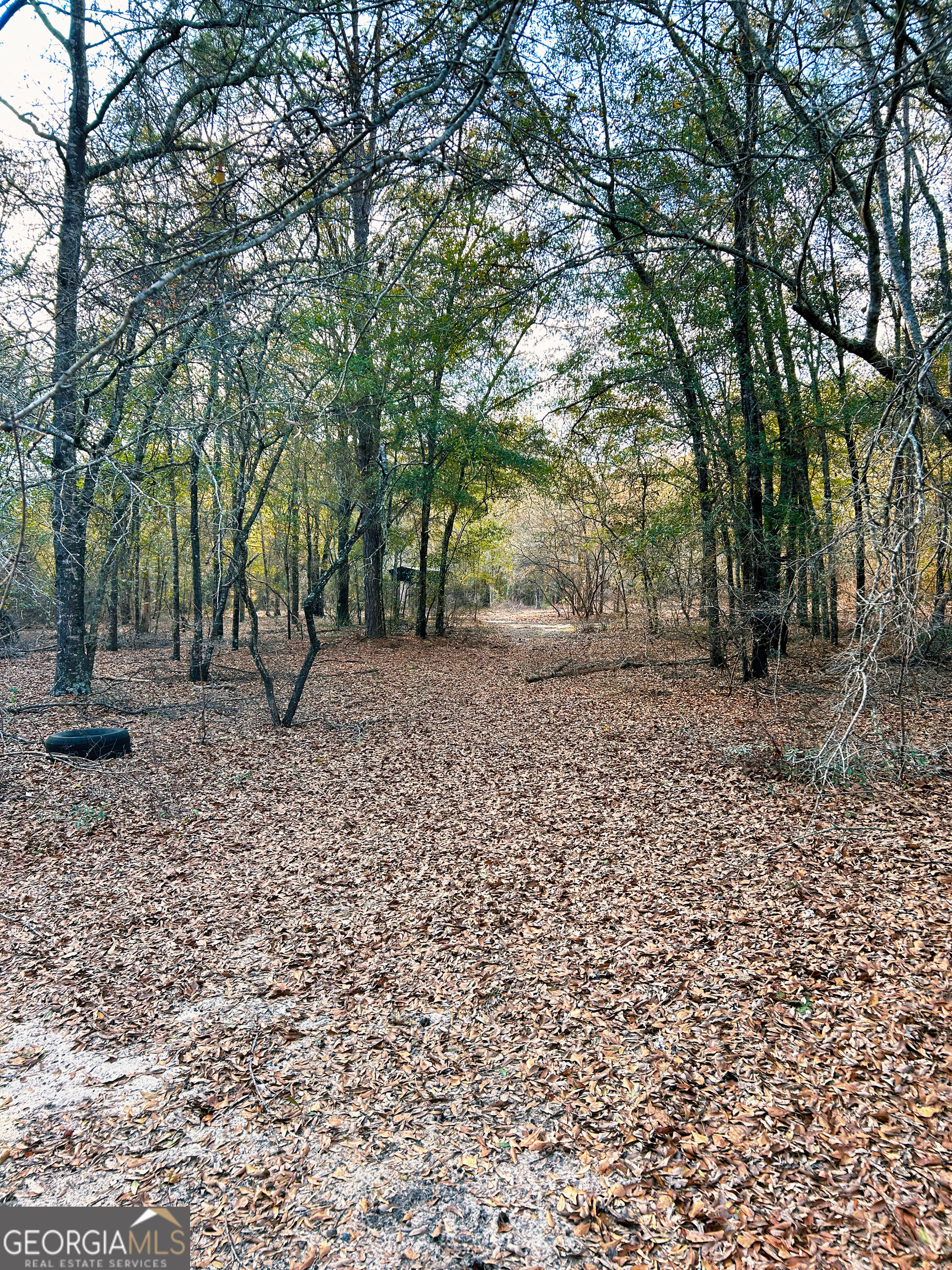 0 Lovely Grove Church Road Eastman, GA 31023 - Photo 5 of 7 a backyard of a house with lots of green space